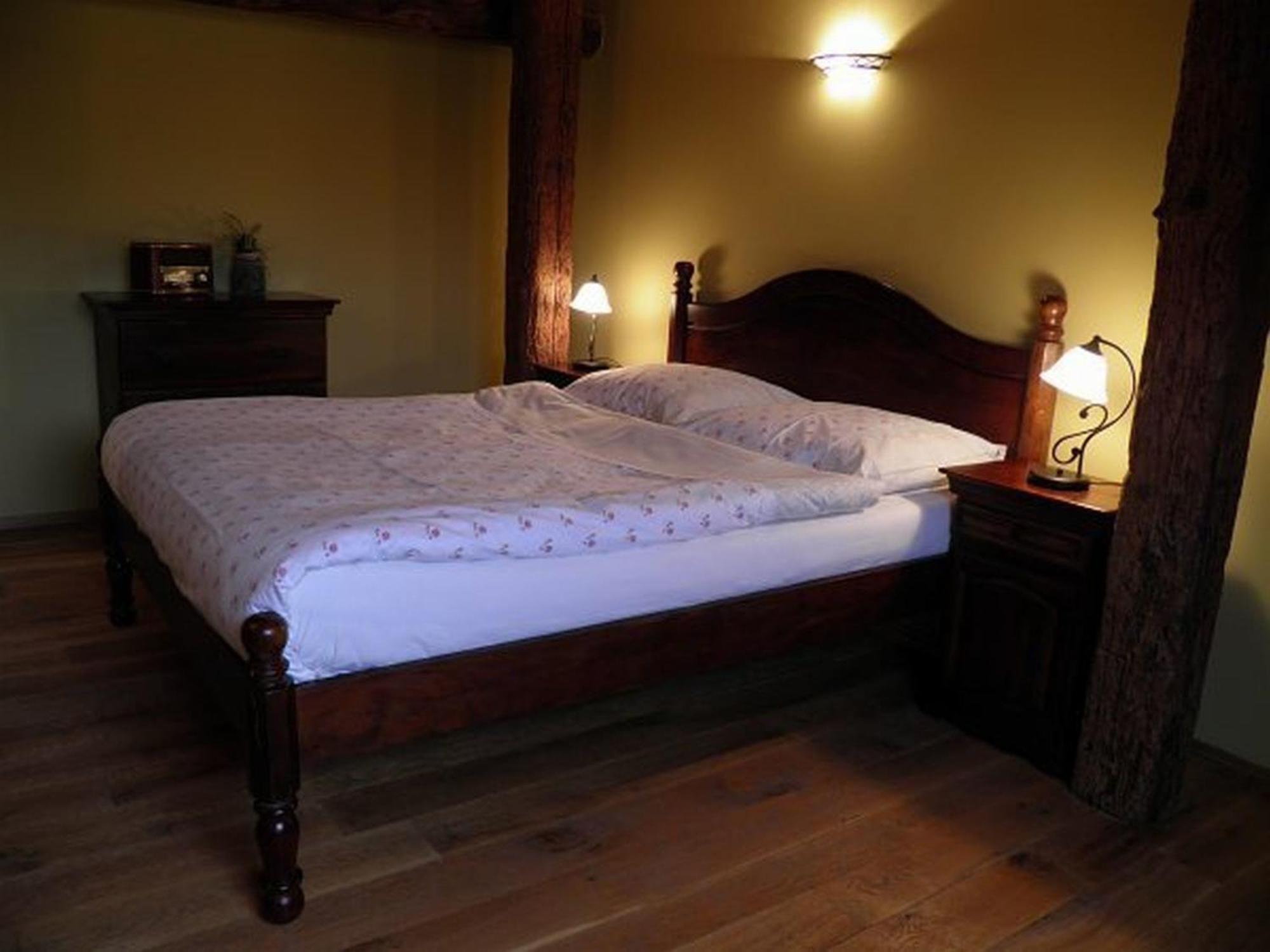 Dvur Olsiny -Hotel And Horse-Riding Karviná Værelse billede