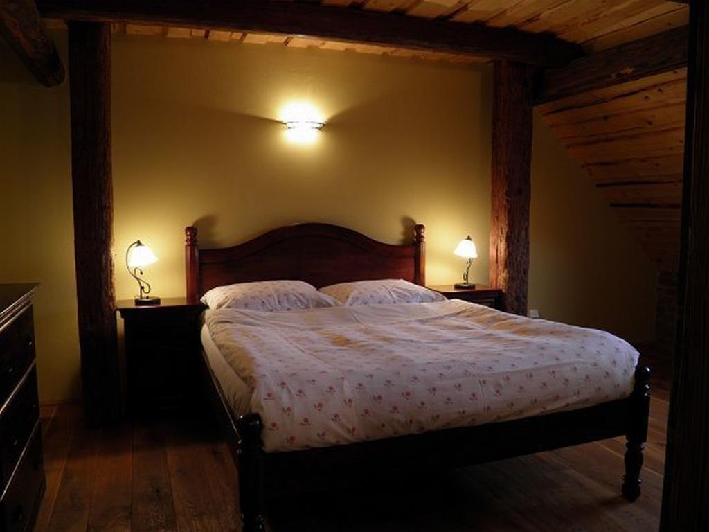 Dvur Olsiny -Hotel And Horse-Riding Karviná Værelse billede