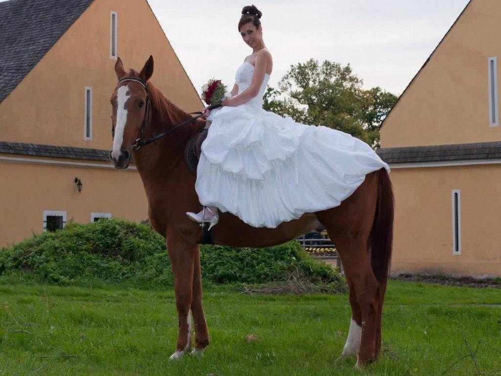 Dvur Olsiny -Hotel And Horse-Riding Karviná Eksteriør billede