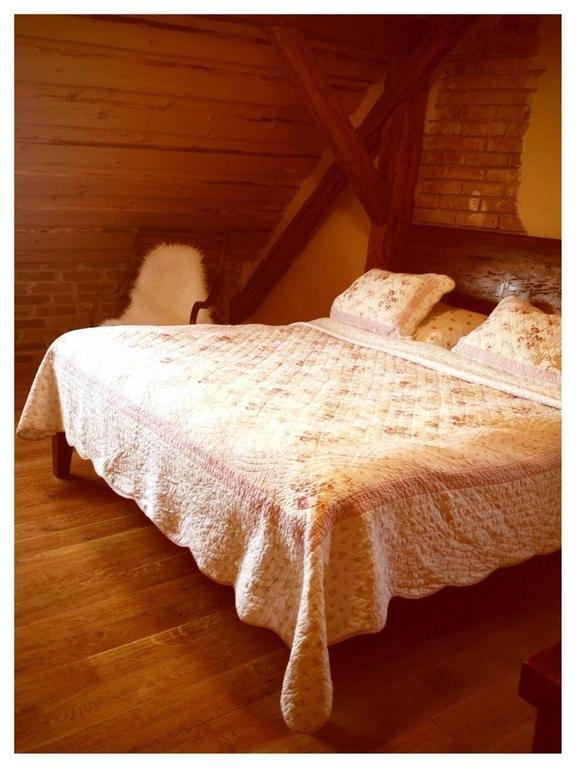 Dvur Olsiny -Hotel And Horse-Riding Karviná Værelse billede